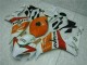 Carénage CBR 1000 RR 2004-2005 - Orange Blanc Repsol