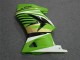 Carénage EX250 2008-2012 - Vert Blanc Noir Ninja Carénage EX250 2008-2012 - Vert Blanc Noir Ninja