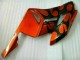 Carénages CBR 1000 RR 2004-2005 - Orange Noir
